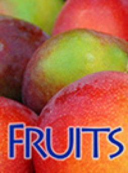 Fruits杂志