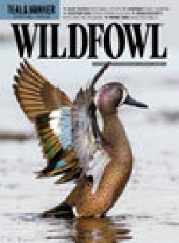 Wildfowl杂志