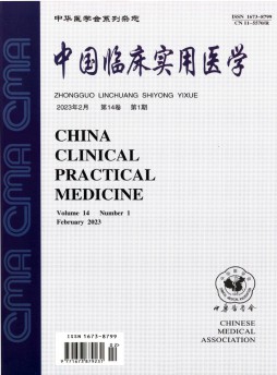 中国临床实用医学杂志