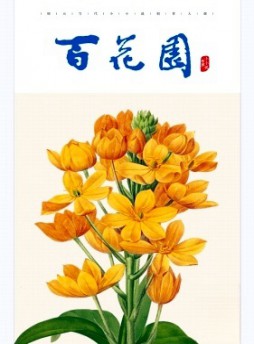 百花园杂志