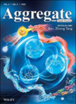 Aggregate杂志